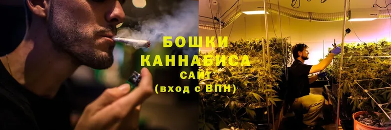 Шишки марихуана OG Kush  даркнет наркотические препараты  Ветлуга 